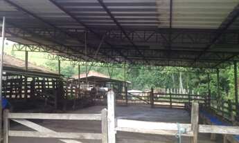 Imagem: VENDO FAZENDA DE 488 HEC. REGIAO TAUBATE