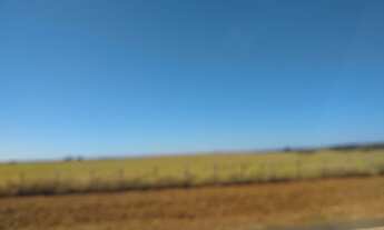 Imagem 6: PROCURAMOS FAZENDAS / HERANÇAS LITIGIOSAS / IMOVEIS, COM DOCUMENTAÇÃO ENROLADA A REGULARI