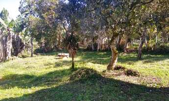 Imagem 7: VENDO CHACARA 1000m COM ESCRITURA E CASA EMBU GUAÇU (4215