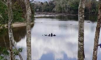 Imagem 7: VENDO TROCO FAZENDA 2100 hec ESCRITURADA REGIÃO DE AMAJARI RORAIMA ( 4250