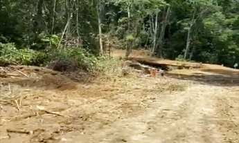 Imagem 2: VENDO TROCO FAZENDA 1200 hec ESCRITURADA REGIÃO DE AMAJARI RORAIMA ( 6100