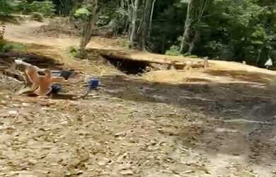 Imagem 3: VENDO TROCO FAZENDA 1200 hec ESCRITURADA REGIÃO DE AMAJARI RORAIMA ( 6100