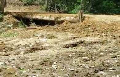 Imagem 7: VENDO TROCO FAZENDA 1200 hec ESCRITURADA REGIÃO DE AMAJARI RORAIMA ( 6100