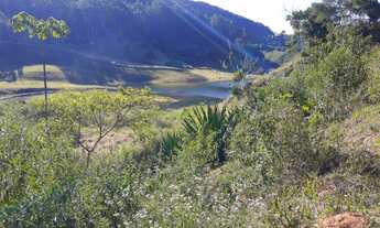 Imagem 5: VENDO CHACARA DE 2,5 ALQ REGIÃO DE NATIVIDADE DA SERRA (4238