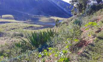 Imagem 6: VENDO CHACARA DE 2,5 ALQ REGIÃO DE NATIVIDADE DA SERRA (4238
