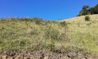 Imagem 7: VENDO CHACARA DE 2,5 ALQ REGIÃO DE NATIVIDADE DA SERRA (4238