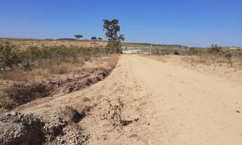 Imagem 4: VENDO FAZENDA DE 1300 HECTARES EM DORES DO INDAIA-MG ( 4112-1