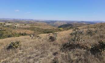 Imagem 7: VENDO FAZENDA DE 1300 HECTARES EM DORES DO INDAIA-MG ( 4112-1