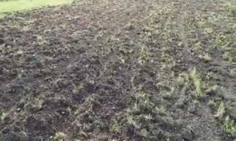 Imagem: VENDO FAZENDA DUPLA APTIDAO REGIAO DE TAIPAS-TO