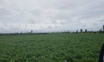 Imagem 3: VENDO FAZENDA DUPLA APTIDÃO REGIAO DE TERRA NOVA DO NORTE-MT ( 6137