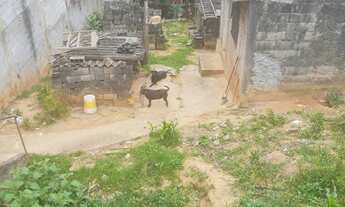 Imagem 3: VENDO TERRENO IDEAL SALÃO E CASAS DE RENDA ( VI593