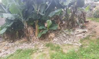 Imagem 7: VENDO TERRENO IDEAL SALÃO E CASAS DE RENDA ( VI593