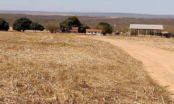 Imagem: VENDO FAZENDA CULTURA E PECUARIA REGIAO