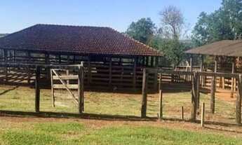 Imagem 3: VENDO FAZENDA CANA E PECUARIA REGIAO DE UBERABA (6145