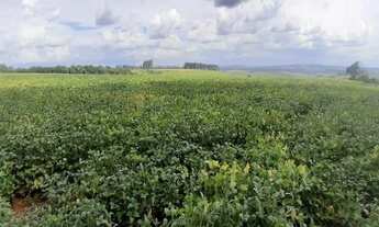 Imagem 4: VENDO FAZENDA PECUARIA E CULTURA REGIAO DE ARAXA ( 6146