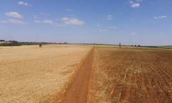 Imagem: VENDO FAZENDA EM CANA REGIAO DE UBERABA