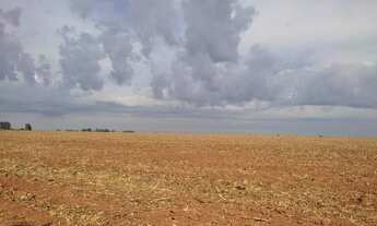 Imagem 7: VENDO FAZENDA PECUARIA E CULTURA REGIAO DE ARAXA (6148