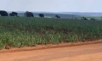 Imagem: VENDO FAZENDA CANA E PECUARIA REGIAO DE