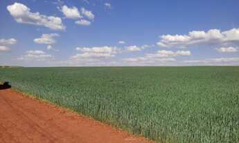 Imagem: VENDO FAZENDA TOP PARA LAVOURA REGIAO DE