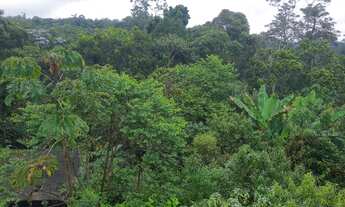 Imagem 3: VENDO CHACARA 9300m² COM ESCRITURA EM PARELHEIROS (4262