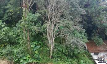 Imagem 6: VENDO CHACARA 9300m² COM ESCRITURA EM PARELHEIROS (4262