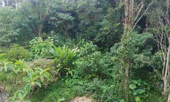 Imagem 7: VENDO CHACARA 9300m² COM ESCRITURA EM PARELHEIROS (4262