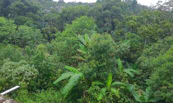 Imagem 2: VENDO CHACARA 9300m² COM ESCRITURA EM PARELHEIROS (4262