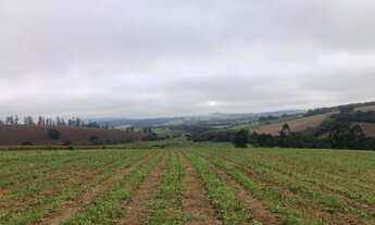 Imagem 4: VENDO FAZENDA REGIAO DE POUSO ALEGRE (6178