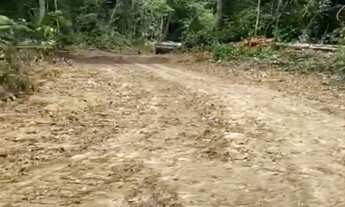 Imagem 5: ARRENDO FAZENDA DE 6000 HECTARES EM RORAIMA IDEAL PARA CULTURA SOJA E PECUARIA ( 4269