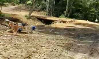 Imagem 3: ARRENDO FAZENDA DE 6000 HECTARES EM RORAIMA IDEAL PARA CULTURA SOJA E PECUARIA ( 4269