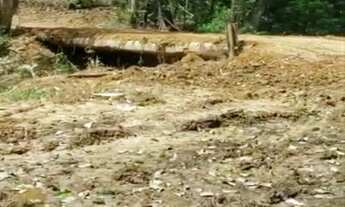 Imagem 7: ARRENDO FAZENDA DE 6000 HECTARES EM RORAIMA IDEAL PARA CULTURA SOJA E PECUARIA ( 4269
