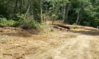 Imagem 2: ARRENDO FAZENDA DE 6000 HECTARES EM RORAIMA IDEAL PARA CULTURA SOJA E PECUARIA ( 4269