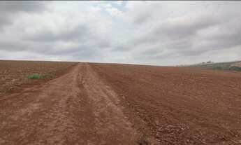 Imagem: VENDO FAZENDA 595 HECTARES PARA CULTURA