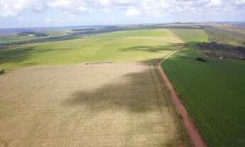 Imagem 6: VENDO EXCELENTE FAZENDA 1950 HECTARES NO GOIAS / TEM PRAZO ( 6203