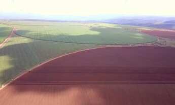 Imagem 5: VENDO EXCELENTE FAZENDA 1950 HECTARES NO GOIAS / TEM PRAZO ( 6203