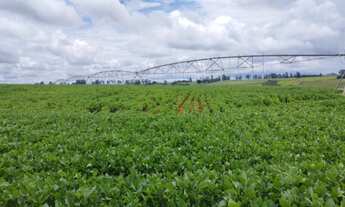 Imagem: VENDO FAZENDA 210 HECTARES REGIAO DE ARAXA