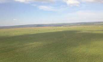 Imagem 2: VENDO EXCELENTE FAZENDA 1950 HECTARES NO GOIAS / TEM PRAZO ( 6203