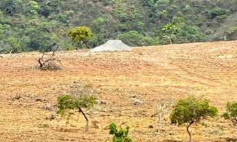 Imagem 3: OPORTUNIDADE FAZENDA 1250 HECTARES REGIAO DE TRES MARIAS-MG ( 6202