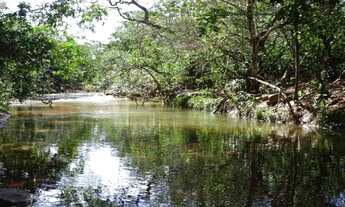 Imagem: OPORTUNIDADE FAZENDA 1250 HECTARES REGIAO