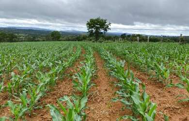 Imagem 4: VENDO FAZENDA REGIAO DE RIO QUENTE-GO ( 6205