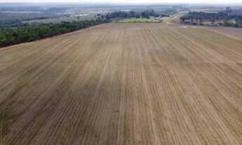 Imagem 2: VENDO EXCELENTE FAZENDA REGIAO DE UBERLANDIA ( 6213