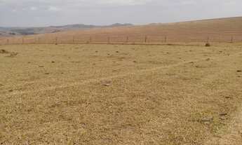 Imagem: OPORTUNIDADE FAZENDA 1250 HECTARES DUPLA