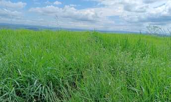 Imagem: OPORTUNIDADE UNICA FAZENDA 530 HECTARES