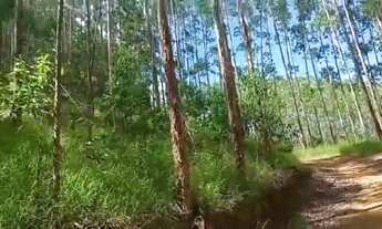 Imagem: VENDO TROCO FAZENDA DE 100 HECTARES EM NATIVIDADE