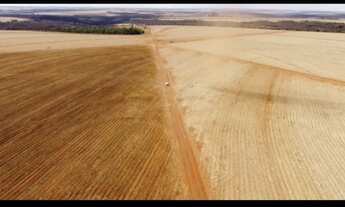 Imagem: OPORTUNIDADE EXCELENTE FAZENDA REGIAO DE