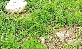 Imagem 4: VENDO TERRENO / CHÁCARA DE 1.500m FINANCIADO PELA CAIXA EMBU GUAÇU ( VI871