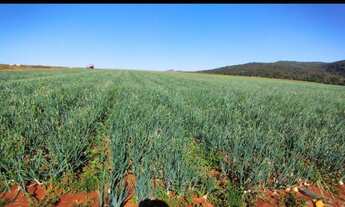 Imagem 2: OPORTUNIDADE FAZENDA 255 HECTARES REGIAO DE PERDIZES-MG ( 6210