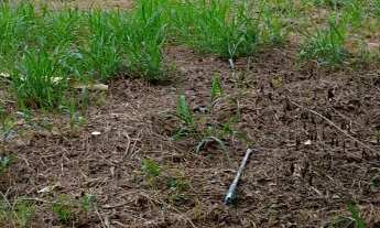 Imagem 7: VENDO TERRENO PLANO 760m² EM ATIBAIA ( VI890