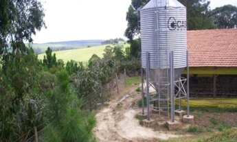 Imagem 4: VENDO TROCO GRANJA REGIAO ITAPETININGA CAPACIDADE 70.000 AVES (032