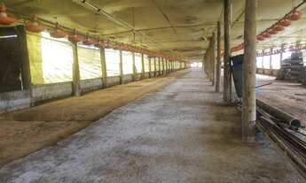 Imagem: VENDO TROCO GRANJA REGIAO ITAPETININGA CAPACIDADE